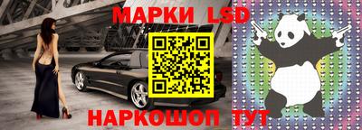 гидропоника Пугачёв